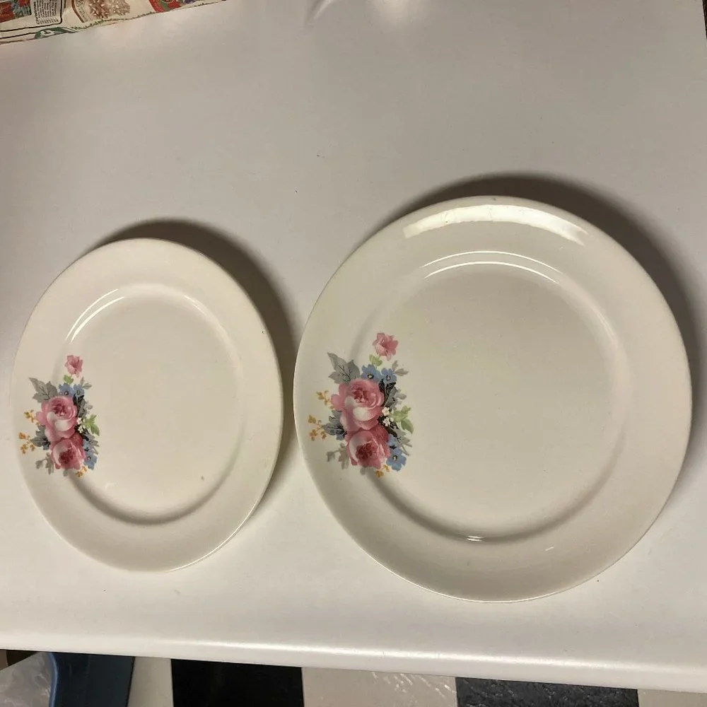 Vintage Dinner Plates (2) 9 Inches with Pink & Blue Flowers / Roses